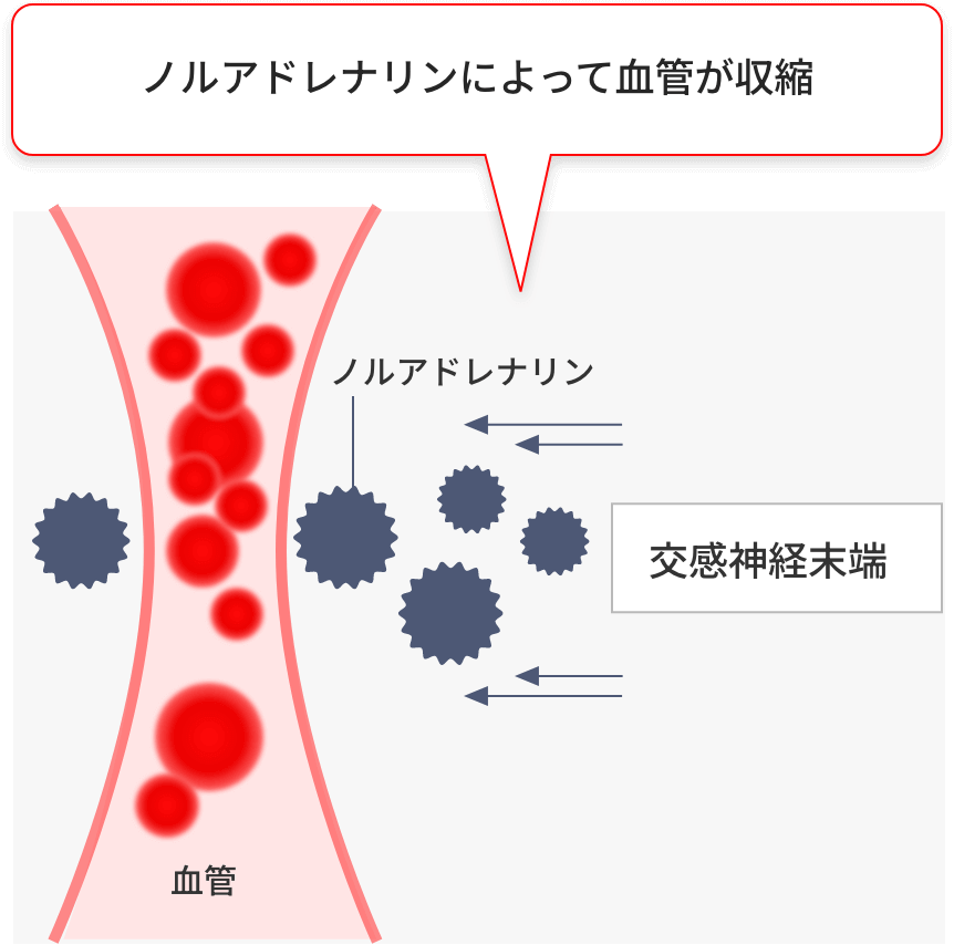 ノルアドレナリンによって血管が収縮