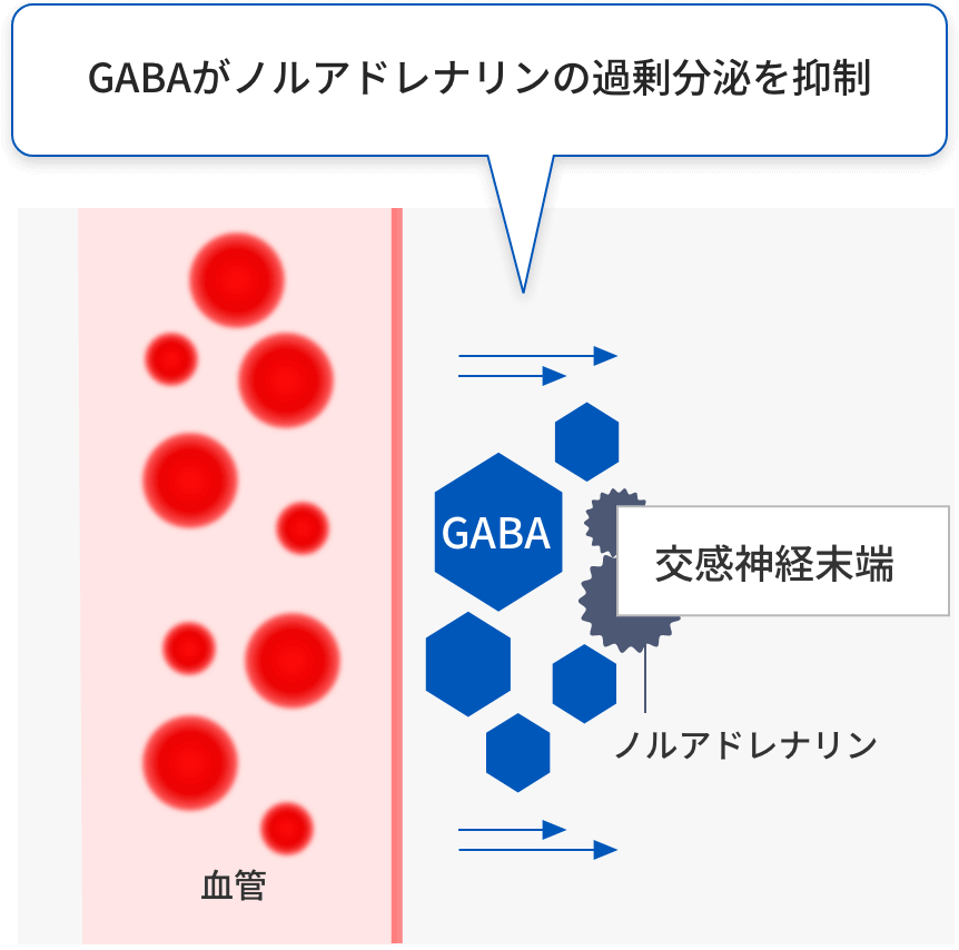 GABAがノルアドレナリンの過剰分泌を抑制