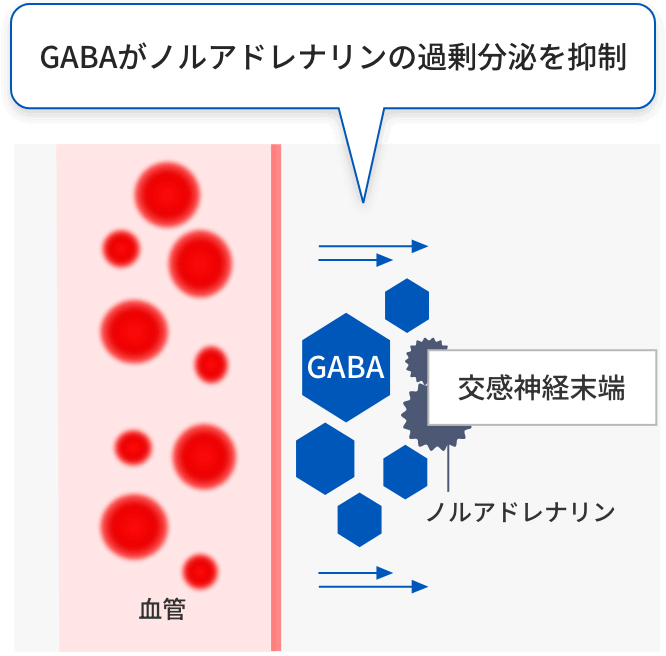 GABAがノルアドレナリンの過剰分泌を抑制